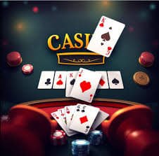 8555bet